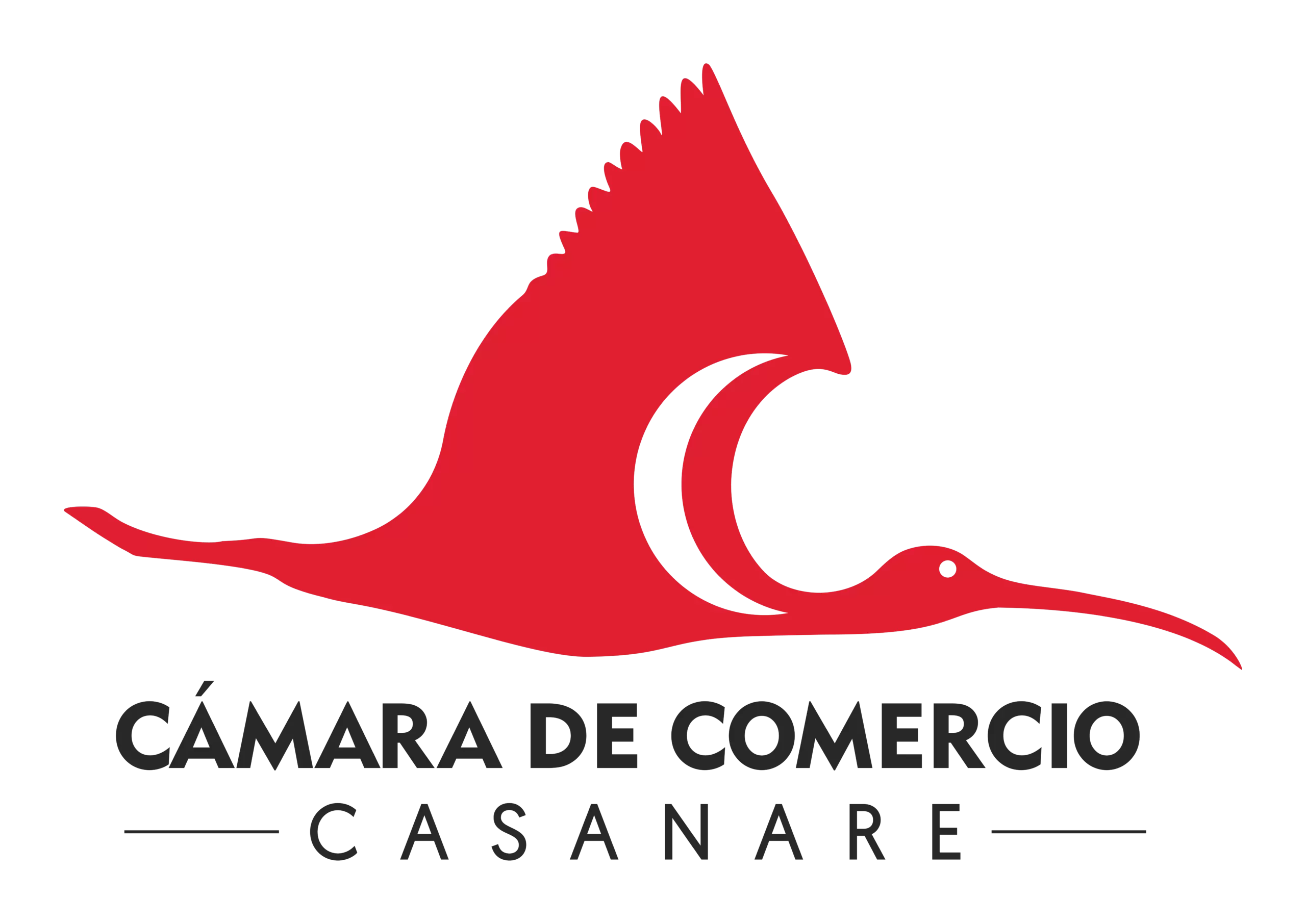 Cámara de Comercio de Casanare